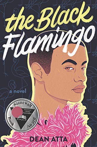 The Black Flamingo (Hardcover, 2020, Balzer + Bray)