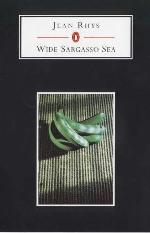 Wide Sargasso Sea (Penguin Student Editions) (2001, Penguin Classics)