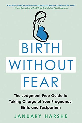 Birth Without Fear (Paperback, 2019, Hachette Books)