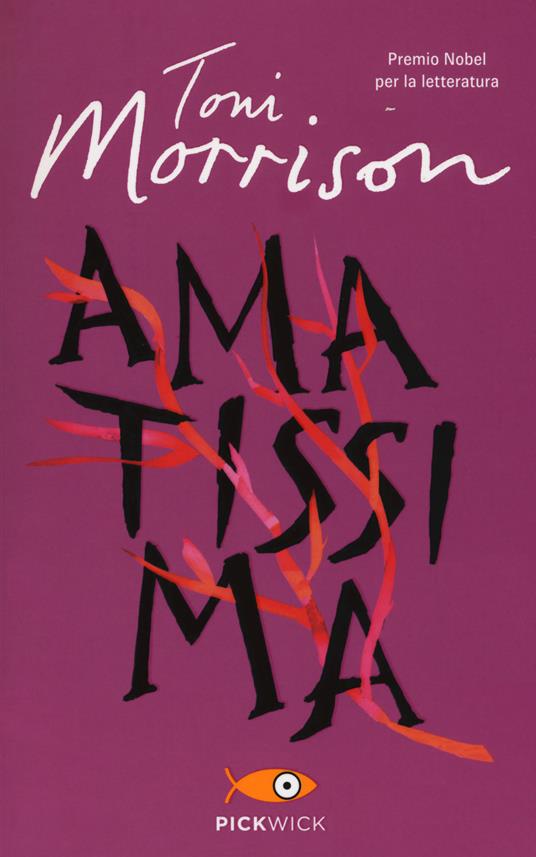 Amatissima (Paperback, Italiano language, 2013, Sperling & Kupfer)