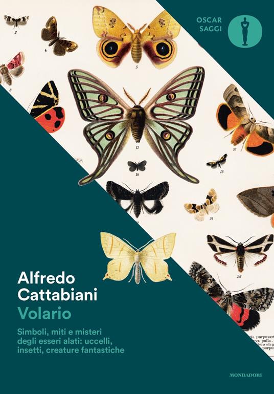 Volario (Paperback, Italiano language, 2022, Mondadori)