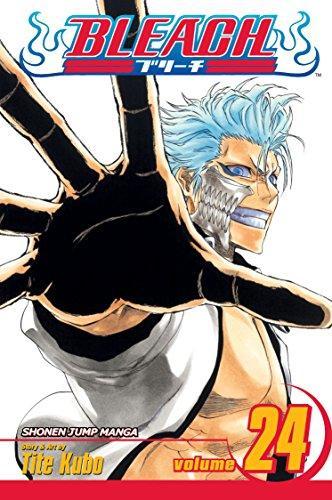 Bleach, Vol. 24 (2008, VIZ Media)