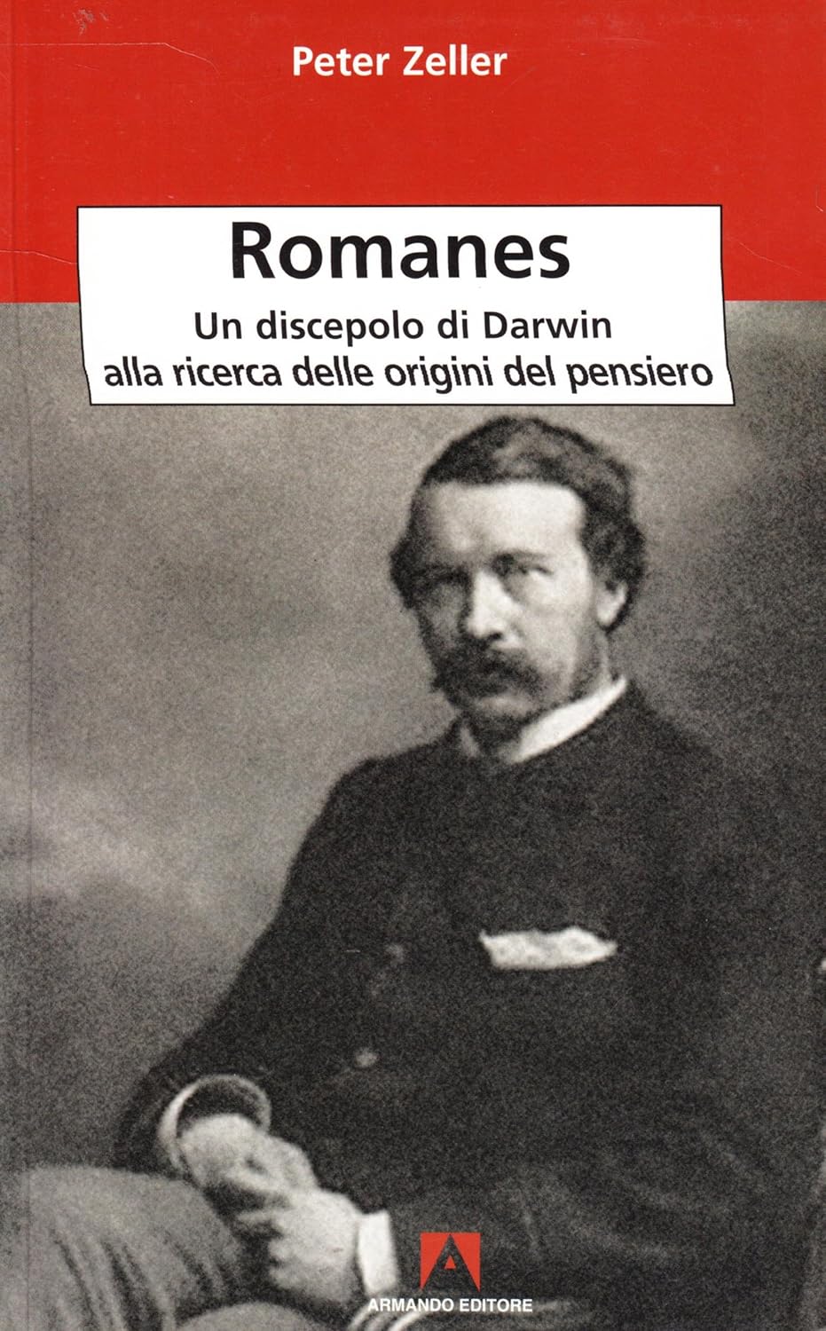 Peter Zeller: Romanes (Paperback, 2007, Armando Editore)